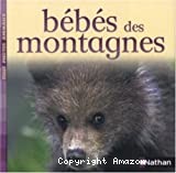 Bebes des montagnes - Click to enlarge picture.