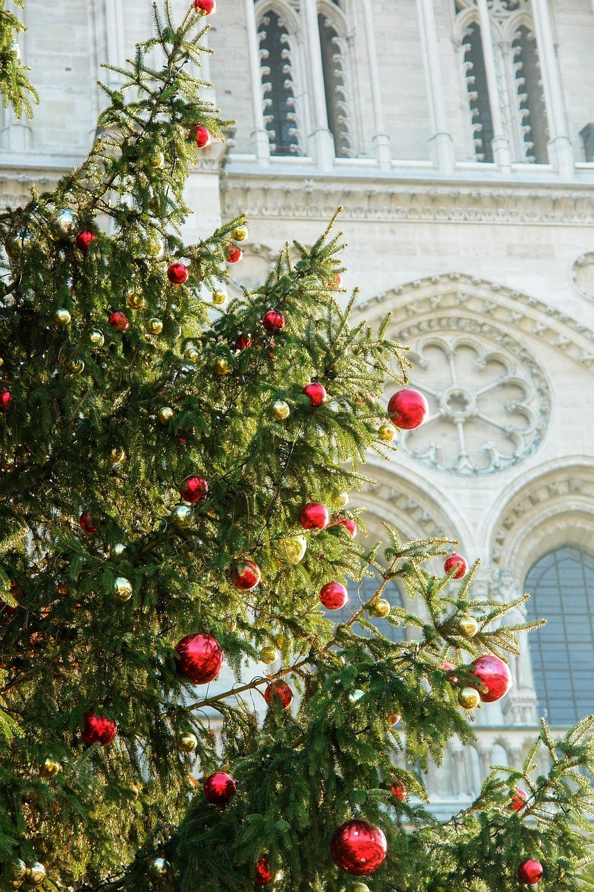 Christmas Traditions in France